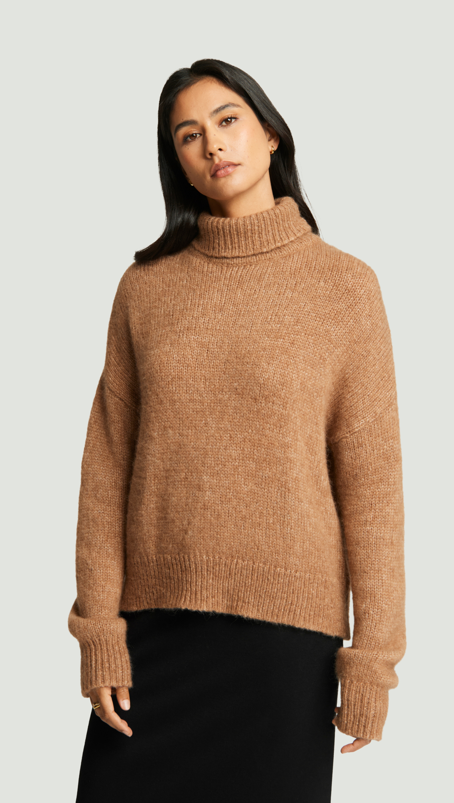 Plush Turtleneck Sweater in Luxe Wool | Camel